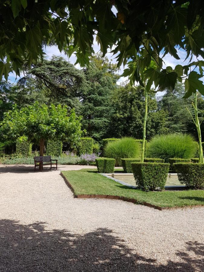 Le Clos De La Deesse La Ferté-Saint-Cyr 外观 照片